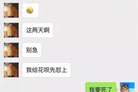 柳南融资清欠服务