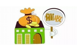 柳南企业清欠服务